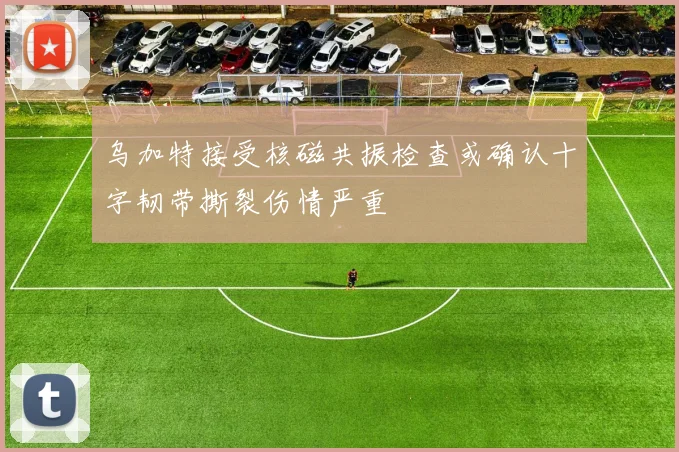 乌加特接受核磁共振检查或确认十字韧带撕裂伤情严重