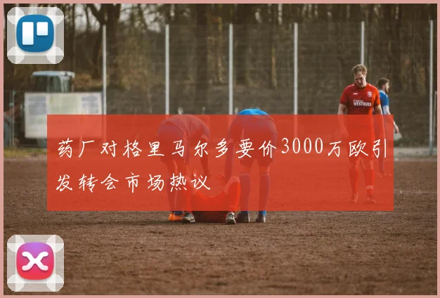 药厂对格里马尔多要价3000万欧引发转会市场热议